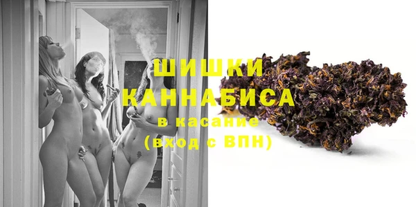 мдпв Богданович