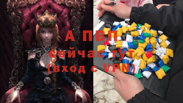 мдпв Богданович