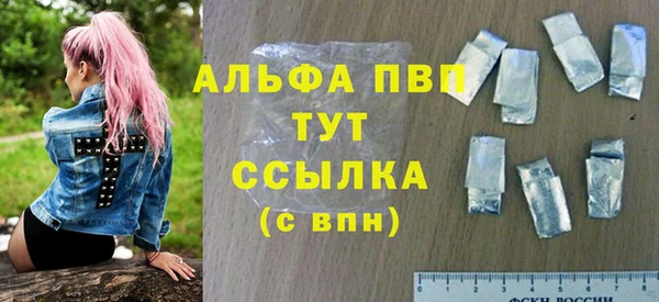 мдпв Богданович
