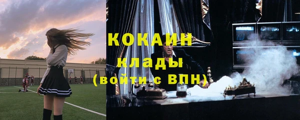 мдпв Богданович