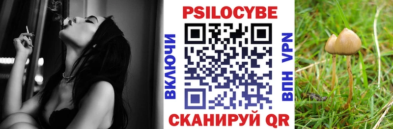 Купить закладки Волоколамск Псилоцибиновые грибы мицелий